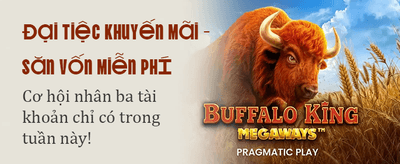 Online Casino Experience